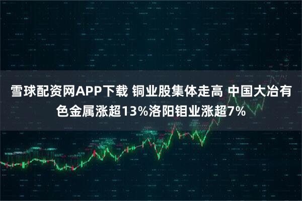 雪球配资网APP下载 铜业股集体走高 中国大冶有色金属涨超13%洛阳钼业涨超7%