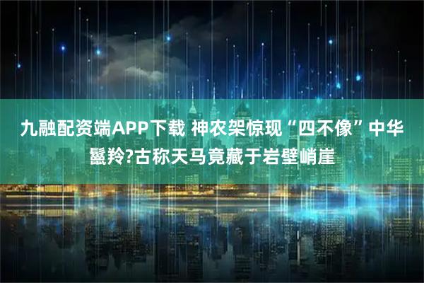 九融配资端APP下载 神农架惊现“四不像”中华鬣羚?古称天马竟藏于岩壁峭崖