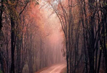 股票交易软件app:股票交易怎样在手机上开户-9月金股大数据出炉 电子断层式领跑 卖方建言“慢牛心态”